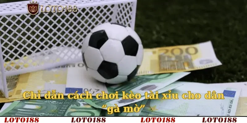Chỉ dẫn cách chơi kèo tài xỉu cho dân “gà mờ”