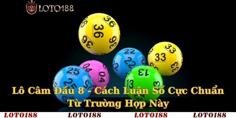 Lô câm đầu 8